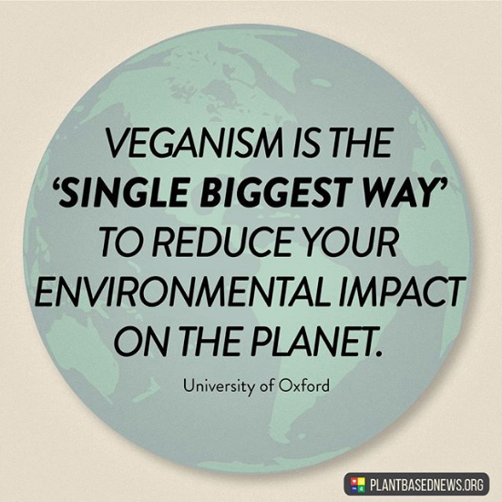 meatfreeplate's tweet image. Going vegan really is the best thing any individual can do right now. Climate change really is happening and as animal agriculture is one of the biggest contributors to greenhouse gas, while contaminating our water sources, killing our soil and destroying our forests. 🌱

#COP27
