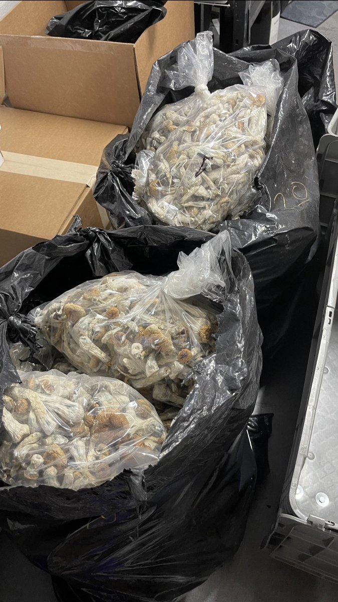 beekay_5's tweet image. #Twork 🙂