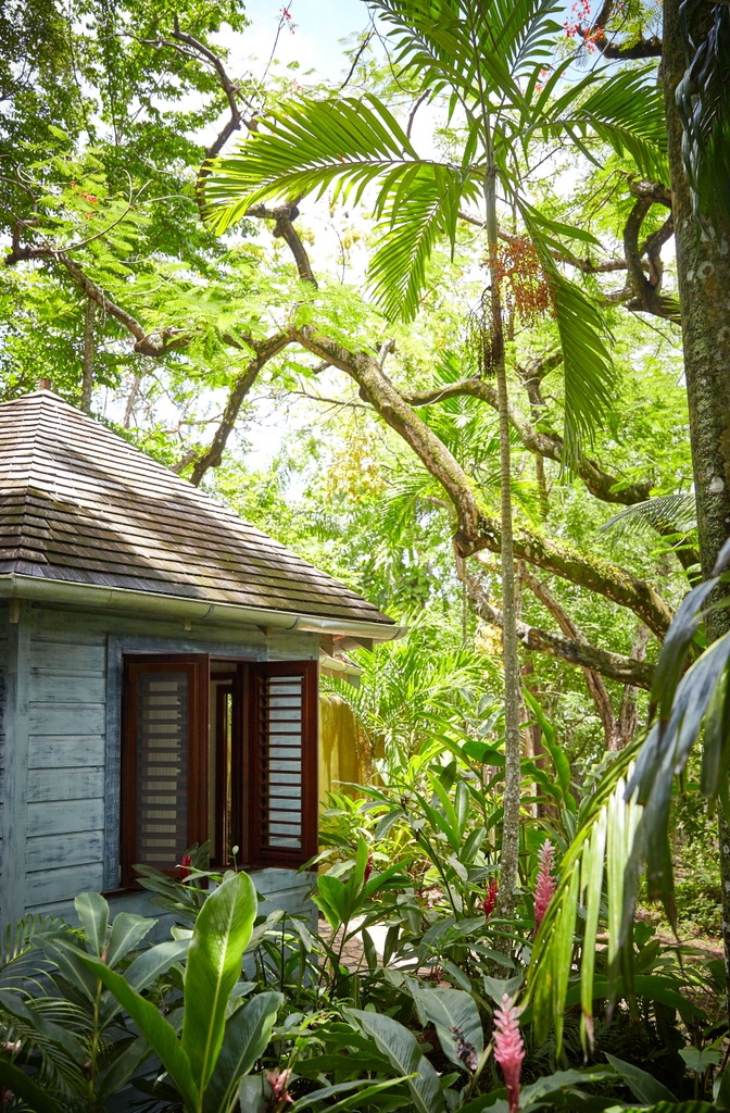 GoldenEyeResort's tweet photo. In the midst of the jungle you will find the most serene, unique Spa treatment rooms that you have ever seen 🌴
#FieldSpa #Awardwinning #Spa #GoldenEye #Unwind #Vacation #Beautifuldestinations #LicensetoChill #BoutiqueProperty #Jamaica https://t.co/pqnCEeGSmk