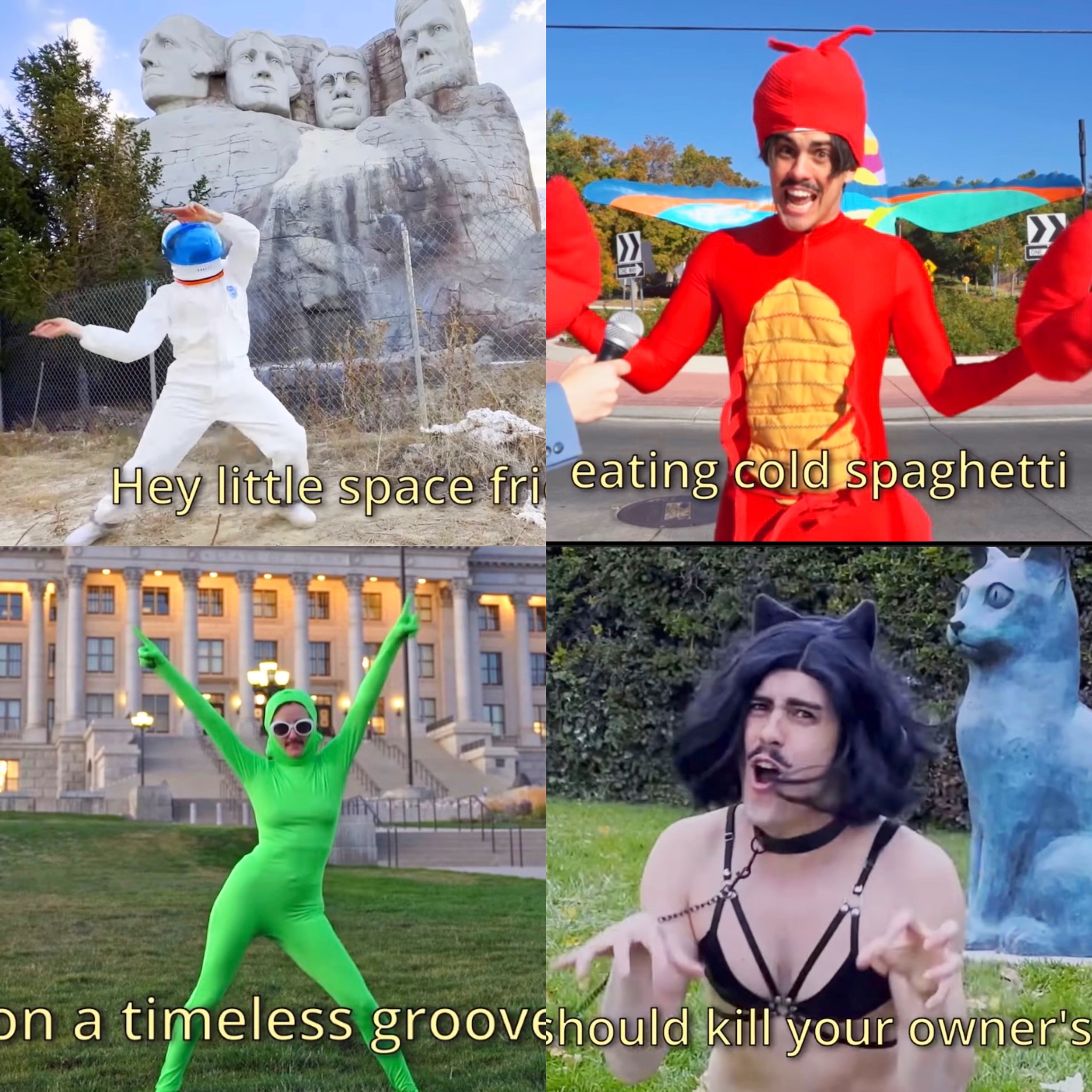 Zelph on the Shelf (zelphontheshelf) / Twitter