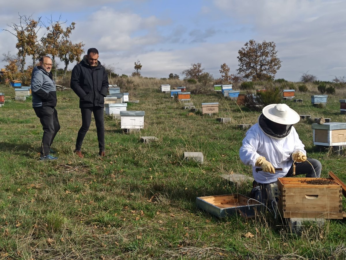 Este fin de semana hemos estado de nuevo en las colmenas con los compañeros de <a href="/APIBEE1/">ApiBee</a> del proyecto de #HacenderaAbierta de la <a href="/antoninoycinia/">Fundación Cerezales</a>
Hemos hecho la puesta a punto de los sensores de las colmenas, antes de que empiece el verdadero frío en estos colmenares de montaña.
🧵