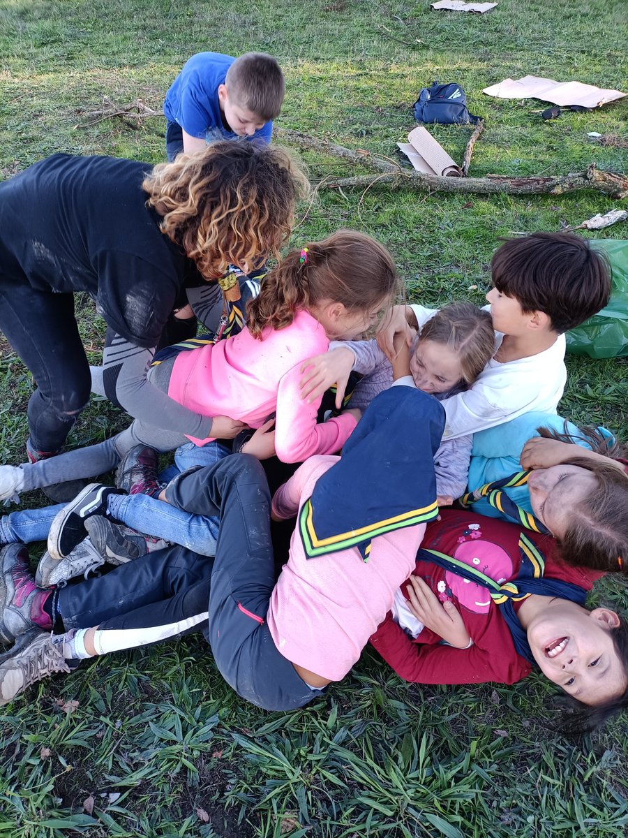 Grupo Scout ILEX 695 tweet media