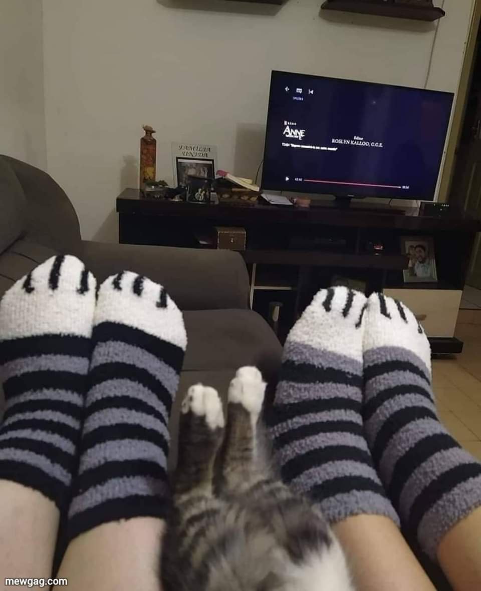 Imágenes para enviar y decir "nosotros" (@padecirnosotros) on Twitter photo 