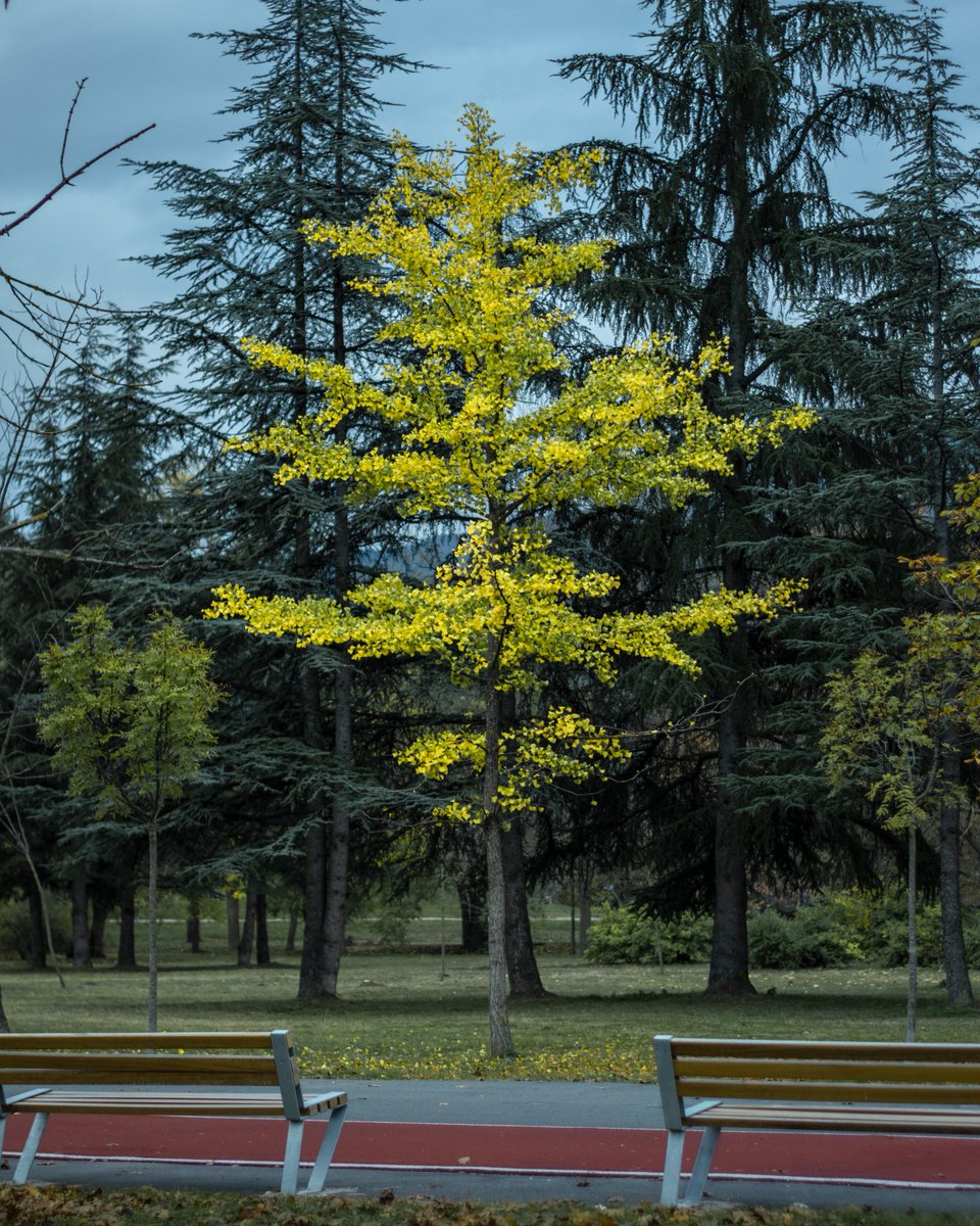 Sumar4e (@mackar0vski) on Twitter photo 