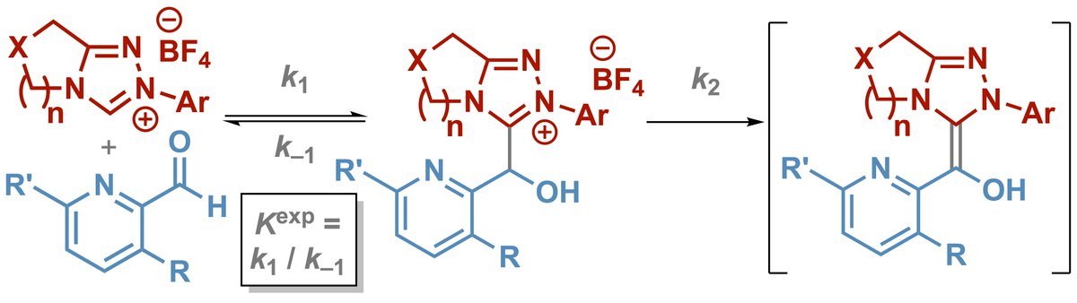 Andrew Smith (@ads_standrews) on Twitter photo Our latest collaboration @amcodonoghue
focuses on rates of addition of NHCs to heteroaromatic aldehydes <a href="/ChemicalScience/">Chemical Science</a>. Congratulation to Duan, <a href="/clairemyoung33/">Claire Young</a> and Estelle for all of their hard work and analysis <a href="/StAndrewsChem/">St Andrews School of Chemistry</a> <a href="/DurhamChemistry/">Durham Chemistry</a> doi.org/10.1039/D2SC05… Our latest collaboration @amcodonoghue
focuses on rates of addition of NHCs to heteroaromatic aldehydes <a href="/ChemicalScience/">Chemical Science</a>. Congratulation to Duan, <a href="/clairemyoung33/">Claire Young</a> and Estelle for all of their hard work and analysis <a href="/StAndrewsChem/">St Andrews School of Chemistry</a> <a href="/DurhamChemistry/">Durham Chemistry</a> doi.org/10.1039/D2SC05…