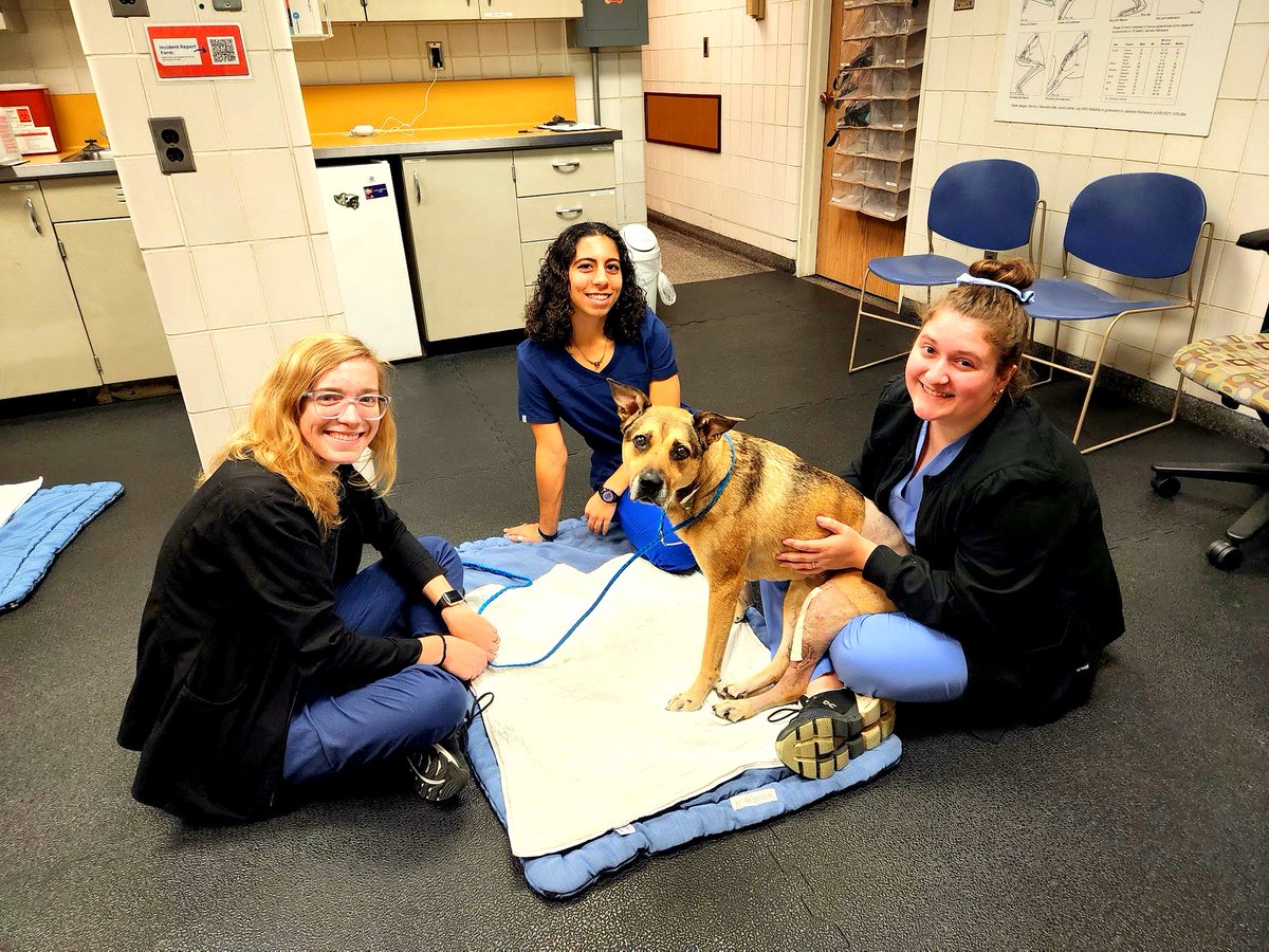 Tweet by UI Vet Hospital