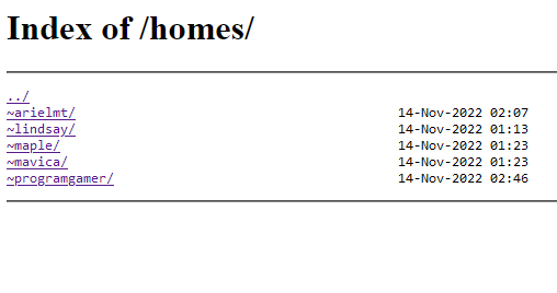 netizens are starting to build their homes