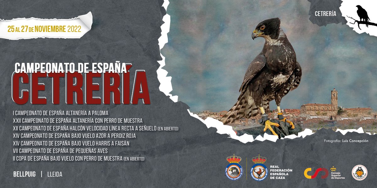 🏆 Abierto el plazo de inscripción para el Campeonato de España de Cetrería 2022 🦅 que se disputará en Bellpuig (Lleida).

📝Inscripciones: hasta 21 de noviembre
🗓️ Prueba: 25 al 27 de noviembre

ℹ️ Nota de prensa y documentación para participar: bit.ly/CECetreria2022