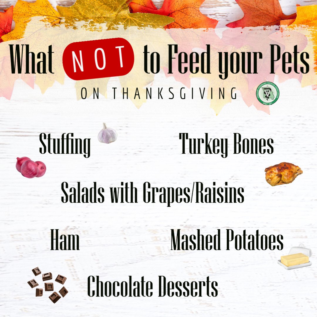 Tweet by Missouri Veterinary Medical Association