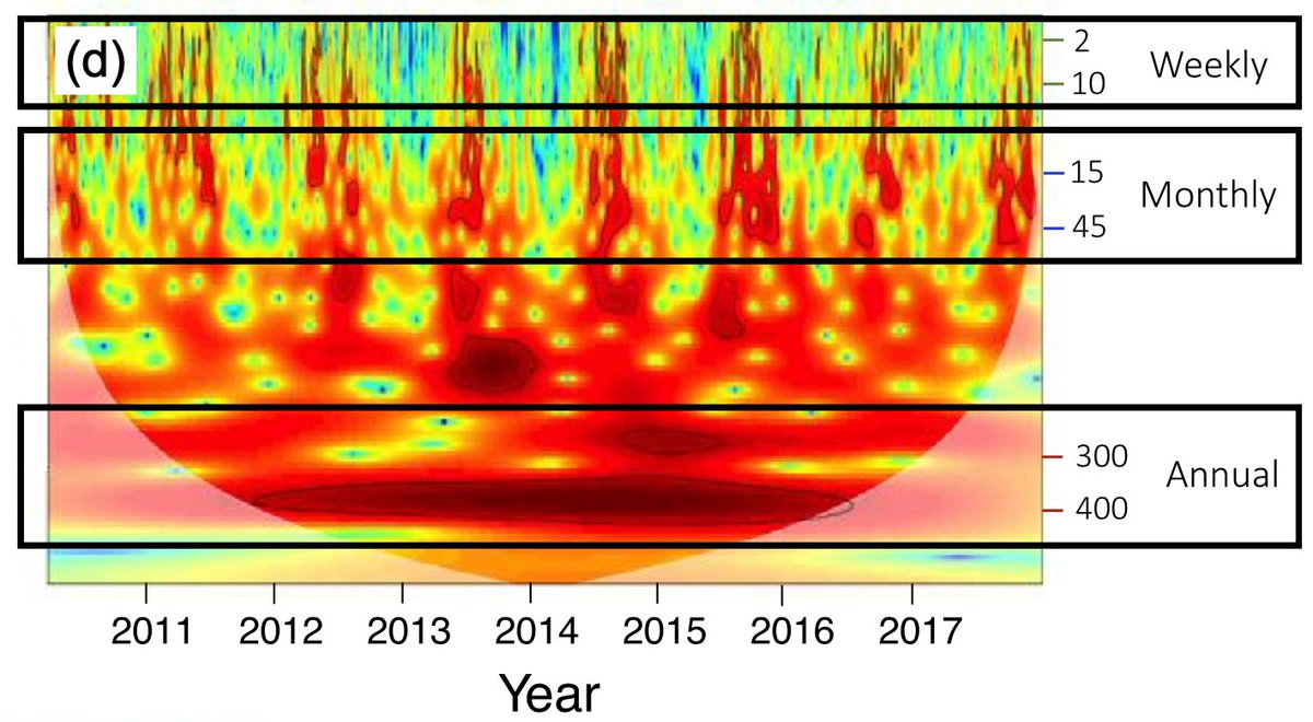 How can coastal upwelling provide thermal refugia, rescuing populations from unfavourable conditions at local and regional scales? Read here doi.org/10.1038/s41598… to find out! <a href="/Sarah_Salois/">Sarah Salois</a> Tarik Gouhier Francis Choi <a href="/rui_seabra/">Rui Seabra</a> <a href="/Aquanaut1967/">Brian Helmuth</a> <a href="/Northeastern/">Northeastern U.</a> <a href="/CIBIO_InBIO/">BIOPOLIS-CIBIO</a>
