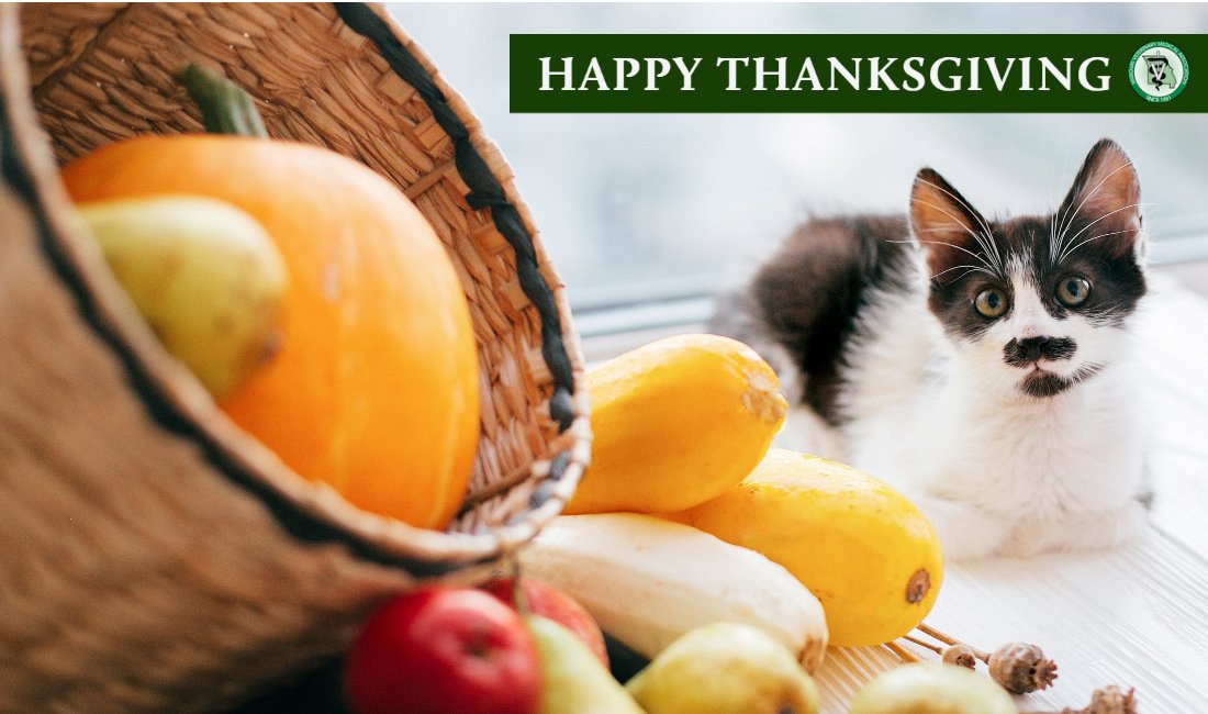 Tweet by Missouri Veterinary Medical Association