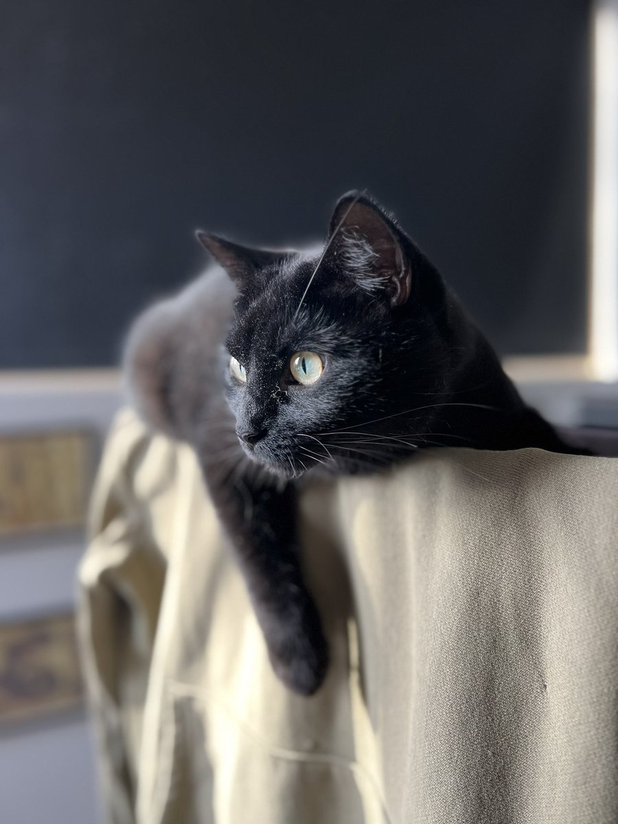 KindMidds 💚 tweet media