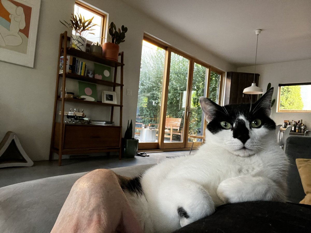 KindMidds 💚 tweet media