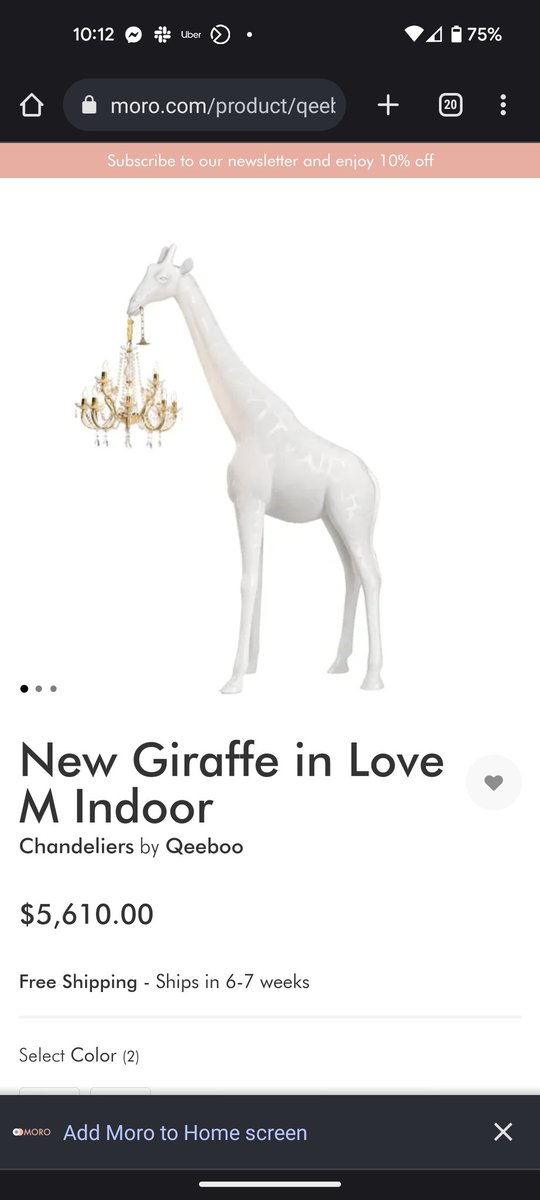 Ashley Winter MD || Urologist tweet media