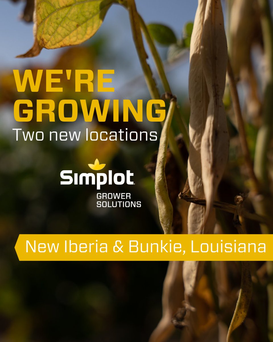 Simplot Grower Solutions is growing! 🎉 We are excited to announce that the <a href="/SimplotCompany/">Simplot Company</a> has agreed to purchase two retail locations from Ouachita Fertilizer Company in New Iberia and Bunkie, Louisiana!

For more information, visit: 🔗 simplot.com/company/news/j…