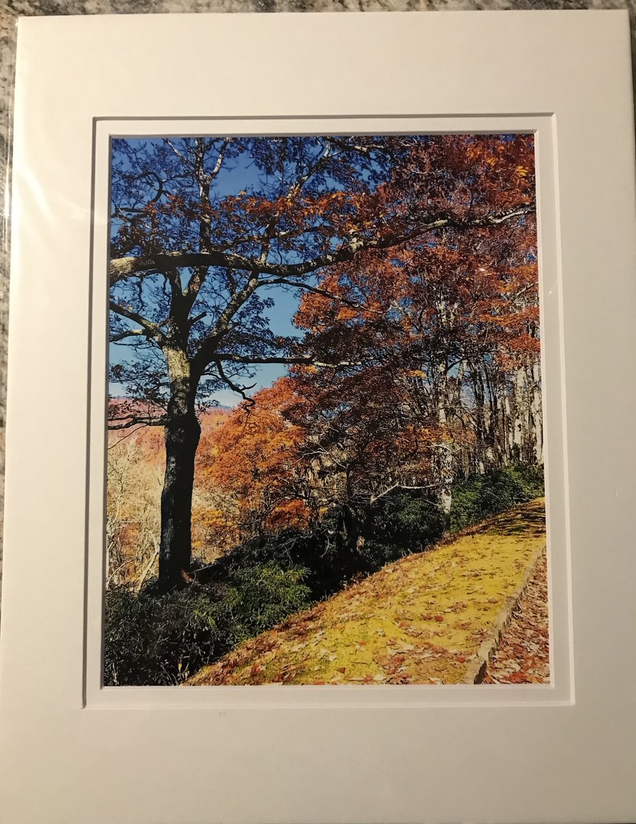 RobinsonByron's tweet photo. DM if you're interested in some fabulous #prints in #mattes to #decorate #art #photography https://t.co/0zl8U69pQx