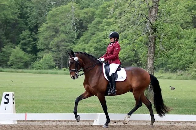 Interagro_PSL's tweet photo. Gótico Interagro Augments Accolades with 2022 USDF Awards
https://t.co/6XUIibjUID https://t.co/CeUfAdfbOr