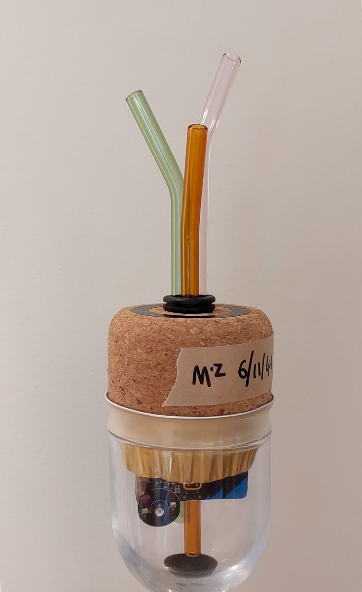 Jasmine Cox tweet media