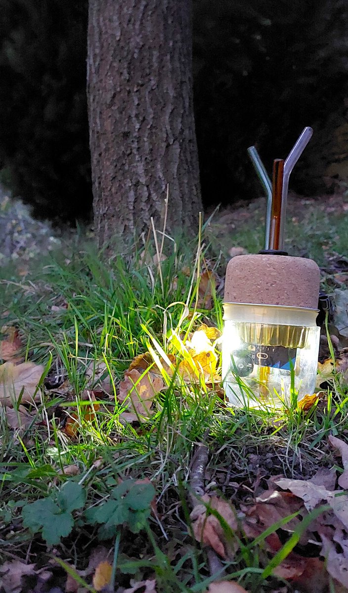 Jasmine Cox tweet media