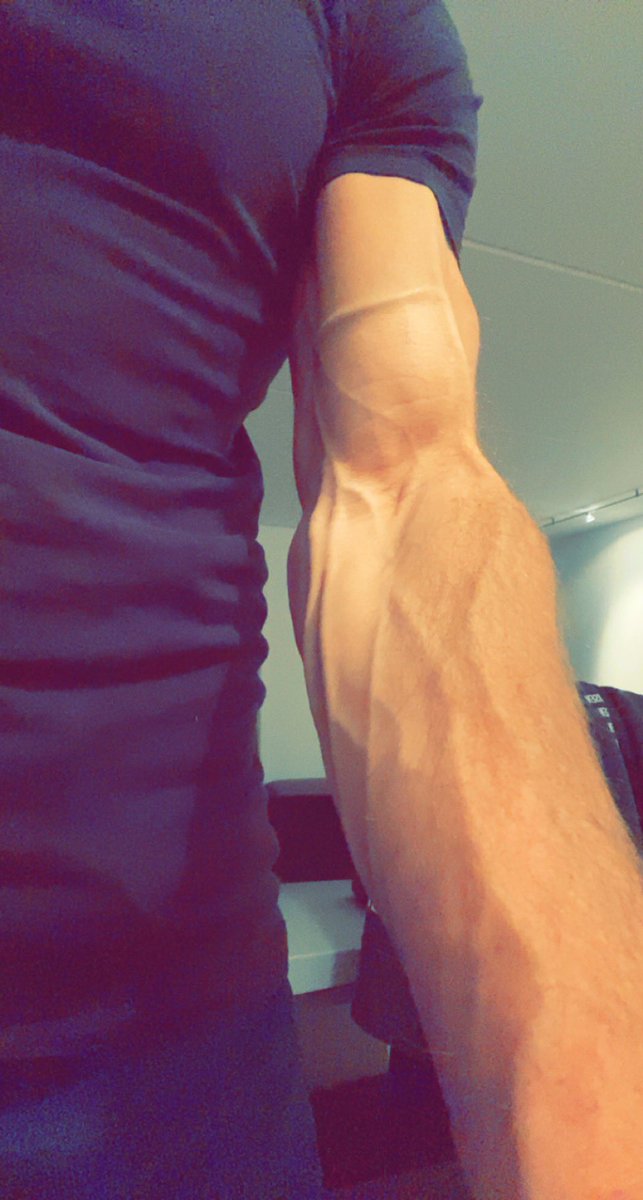 DebetSjef's tweet photo. @Fredrik__Holm @DenUngeInvestor Bra jobba unge mann🤩💪
Og, enig med «gamlefar her»👌
#Fittwit #Gunshow 👊 https://t.co/K1V4LW2iGr