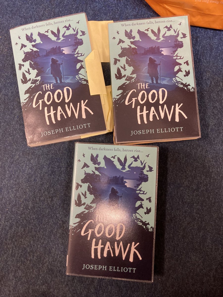 BromLibraries's tweet photo. The Younger Teen Reading Group loved meeting author @joseph_elliott today via Zoom at #OrpingtonLibrary & discussing his fantastic novel #TheGoodHawk. Thanks Joseph! @Better_UK @LBofBromley https://t.co/fMjXaF4GZ3