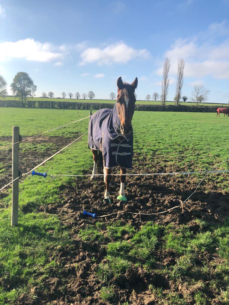 Becky Dacre tweet media