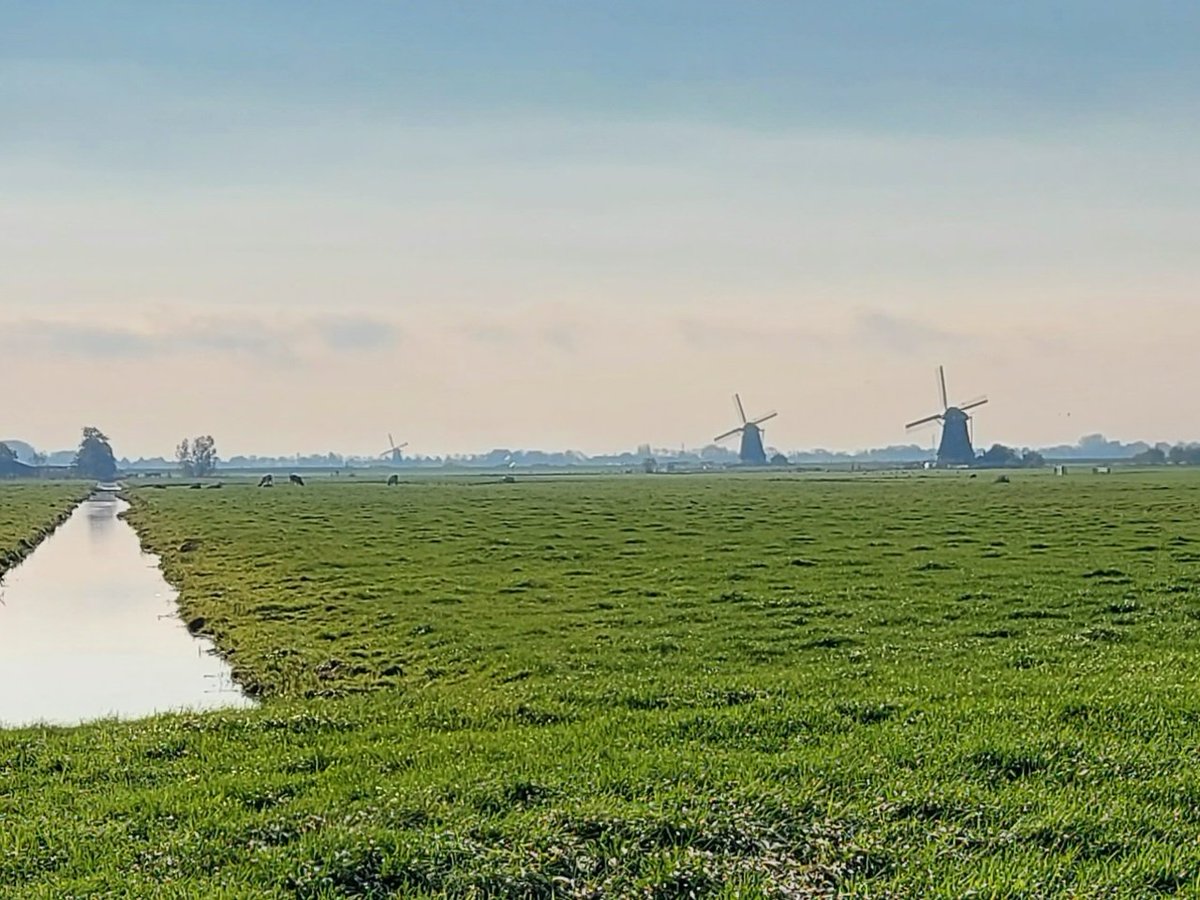 NMorgenrood's tweet photo. @wandelnet wat een mooie wandeling #molenviergang #Aarlanderveen dwars door de weilanden van het #GroeneHart https://t.co/w4PMn7s7gQ
