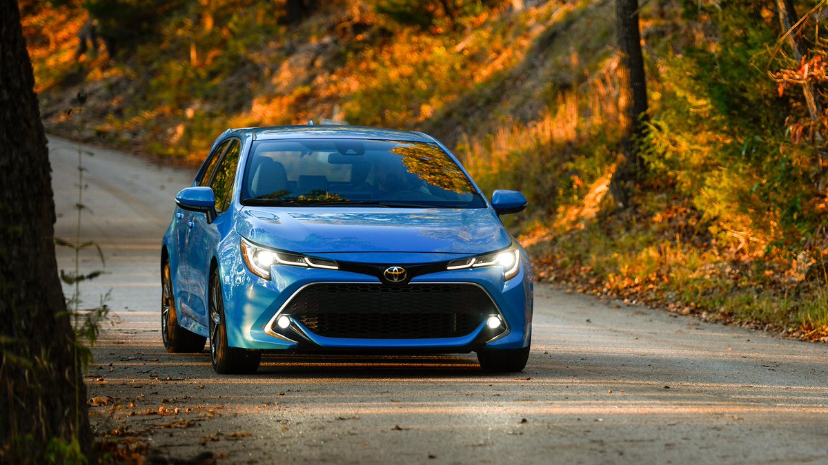 In our fall feels. 🍂 #Corolla Hatchback #LetsGoPlaces