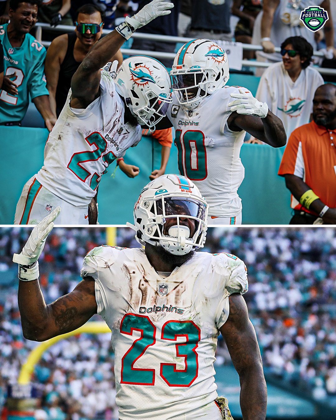 rb1 dolphins