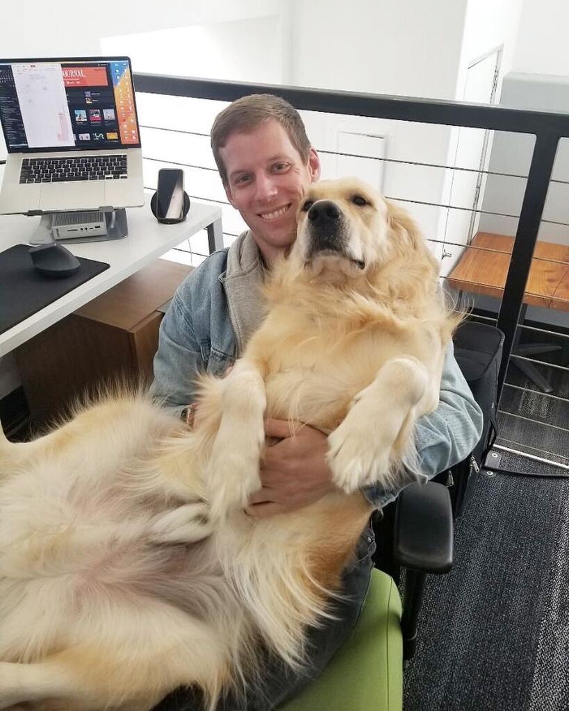 BLANKSPACES's tweet image. BLANKSPACES CULVER CITY: Going to work doesn’t mean you have to leave your best friends 🐾 at home 🏡

#blankspaces #coworking #flexibleworkspace #petfriendly #culvercity #officespace #workforyourselfnotbyyourself instagr.am/p/Ck9bmYuPi_b/