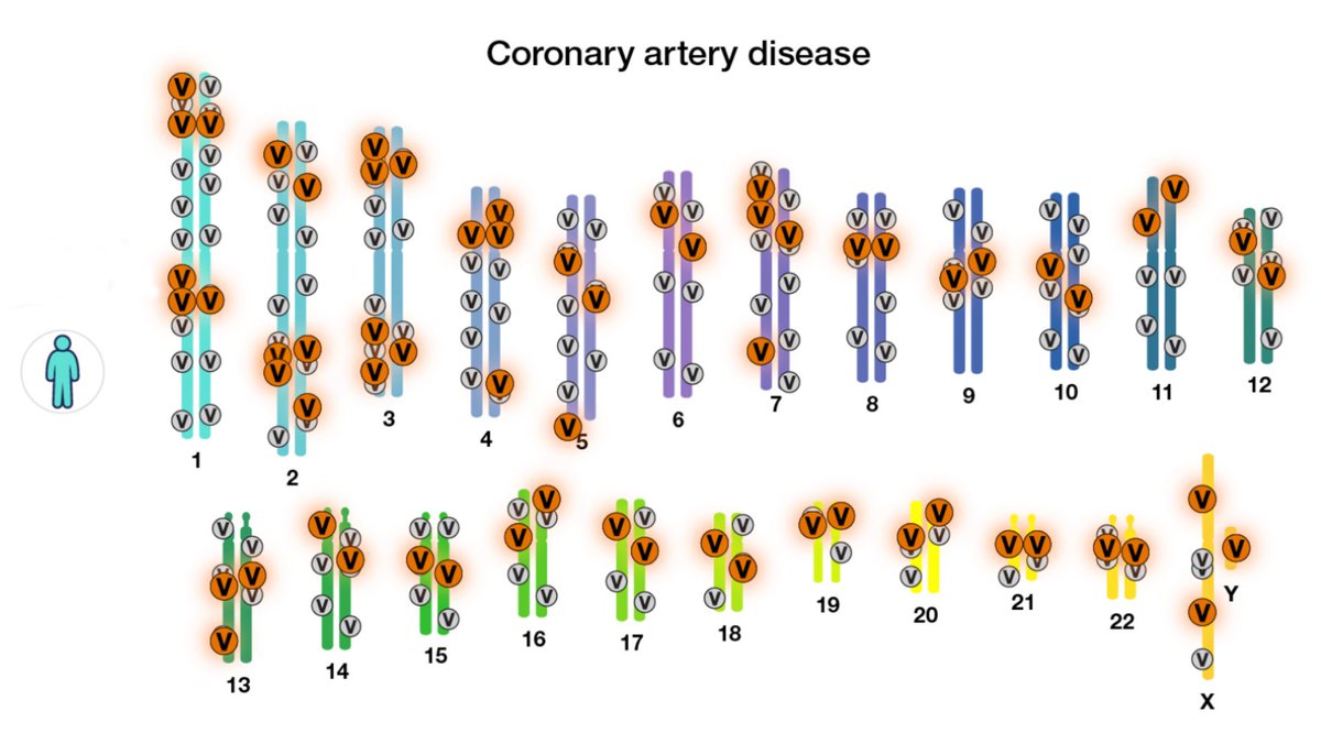 genome_gov's tweet photo. Researchers are increasingly using genomic data for diagnosing rare medical conditions, but current technology is not as accurate in predicting genomic risk for more common conditions such as heart disease and diabetes. https://t.co/b3il5NSBTm