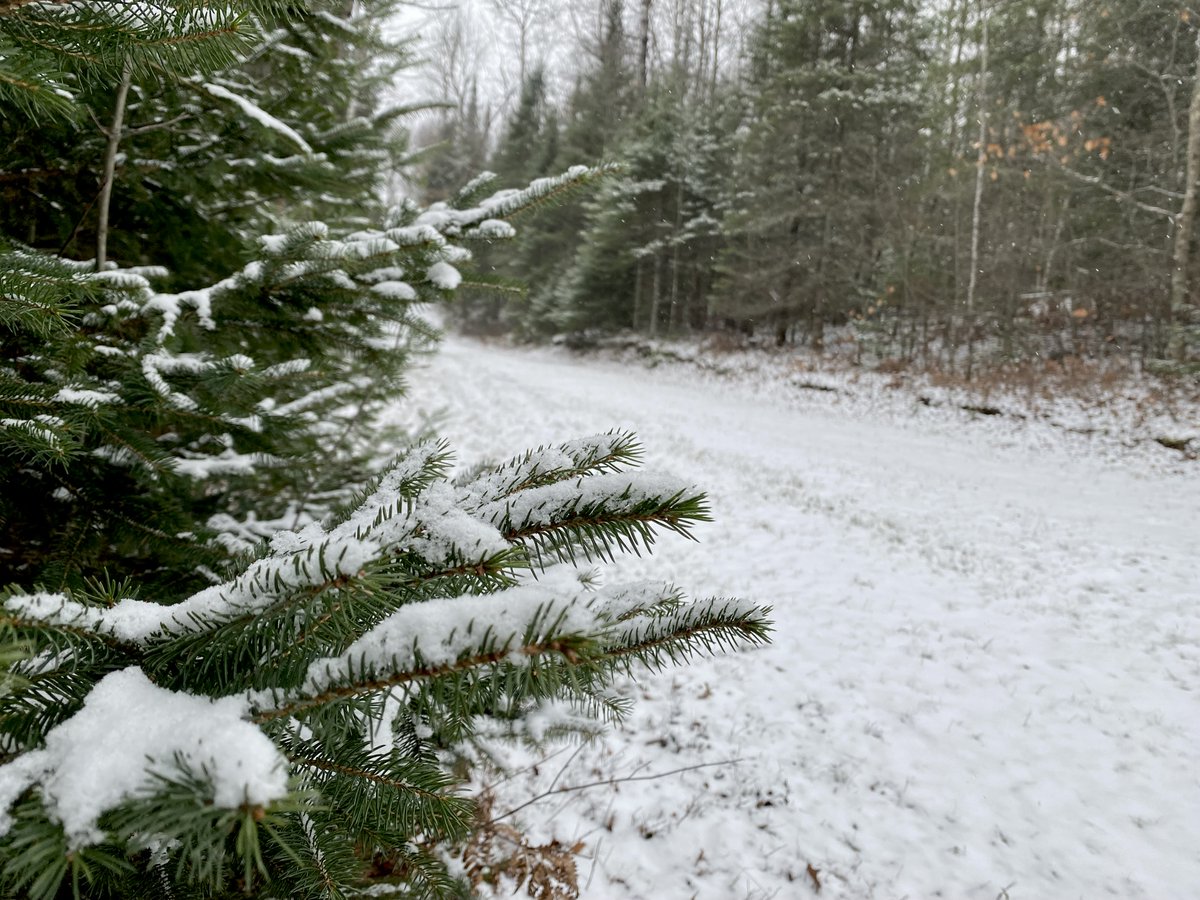 Memberships are on Sale for Mincqua Winter Park for Black Friday! 10% off all memberships for the next 2 weeks at minocquawinterpark.org!