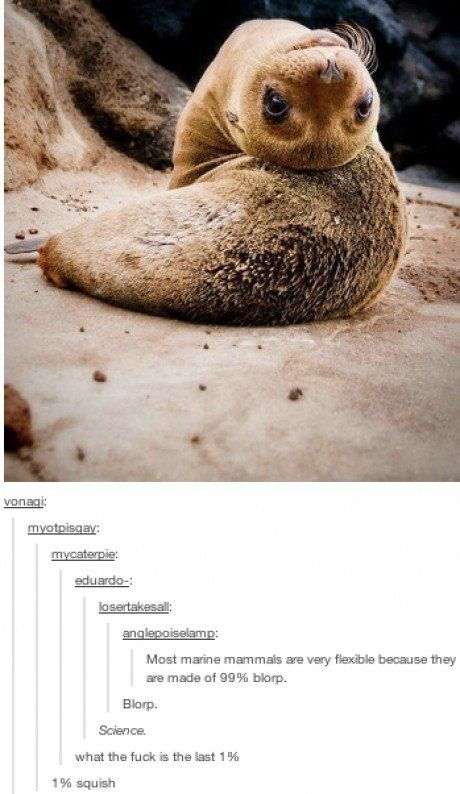 WholesomeMemes tweet media