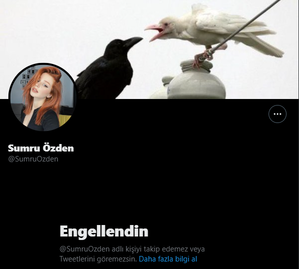 benım adım alı wınchester on Twitter "Nobody believes in you. You’ve