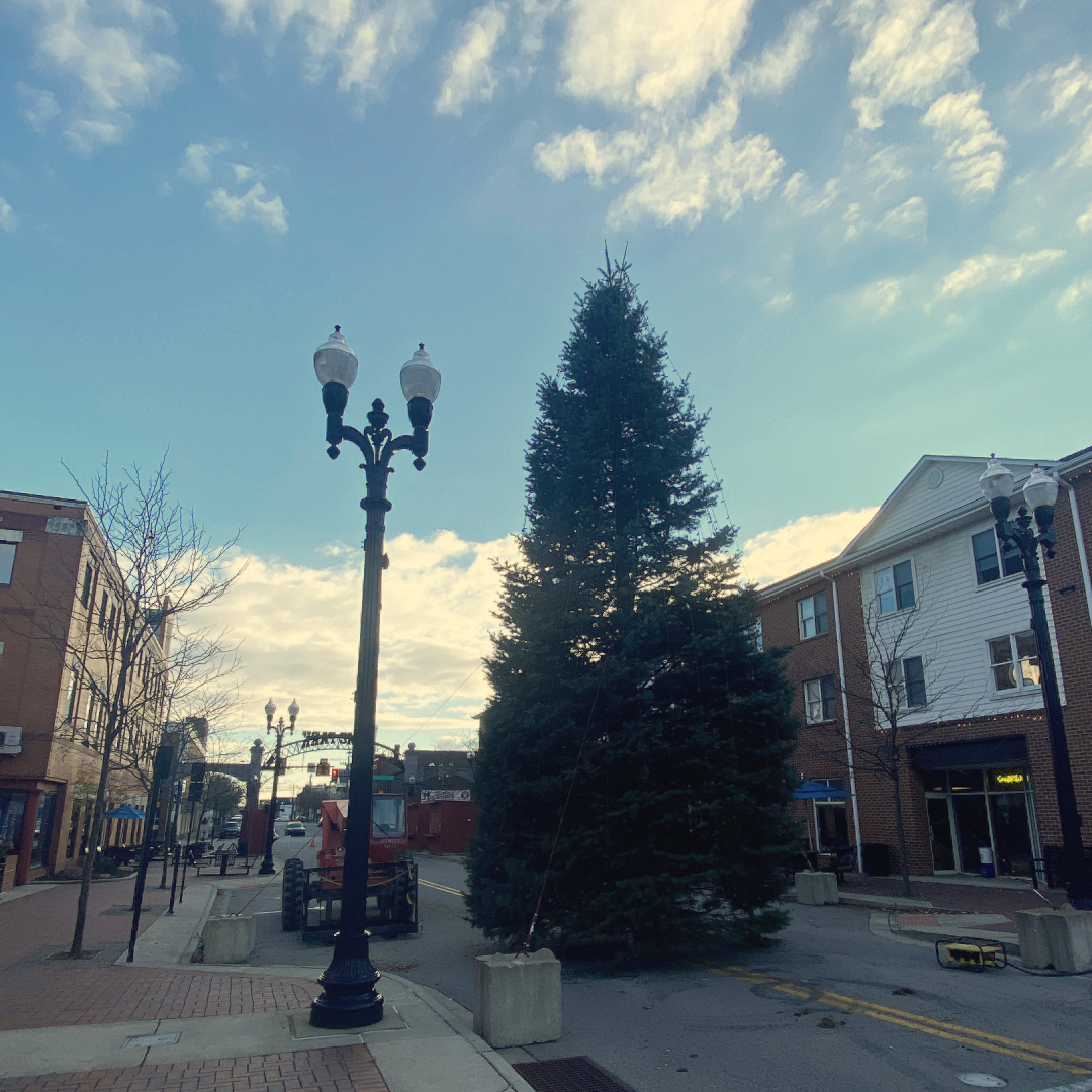 🎄The tree is up in IRMC park! 🎄 A massive THANK YOU goes out to Gregg Van Horn for donating such a beautiful tree for our community to enjoy. 

Visit visitindianacountypa.org/iawl2022/ for all the Parade &amp; Festival details.