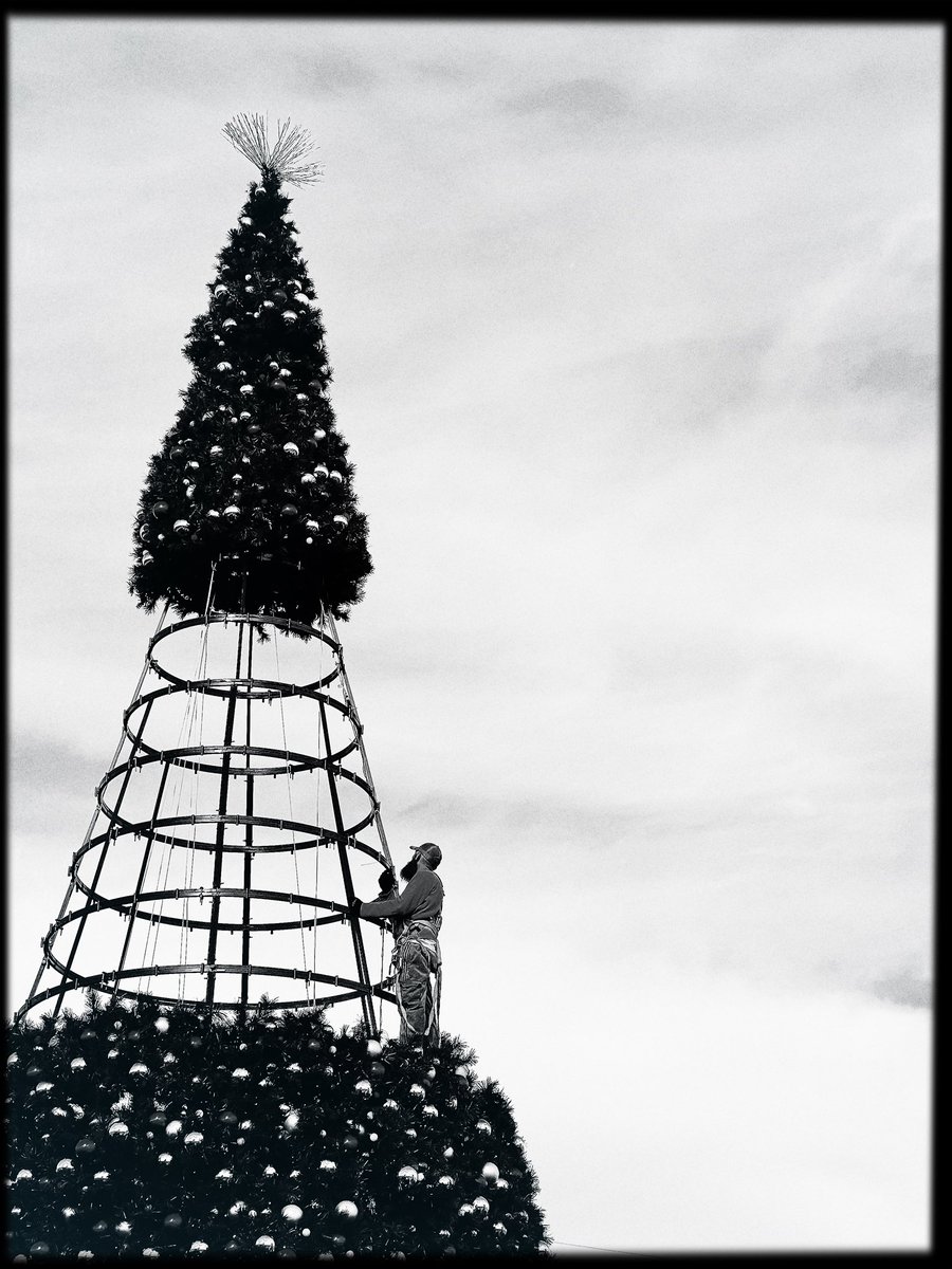 knoxmomi's tweet photo. They’re putting this one up nearby Yut!🎄#365in2022 @365in2022 @sonyaphotoart #mobilephotography #blackandwhitephotograpy #Hipstamatic #Watts #BlackKeys44 #Lighthouse72 #shotoniphone #noirvemberphoto @Hipstamatic https://t.co/3ZzPuvY29a