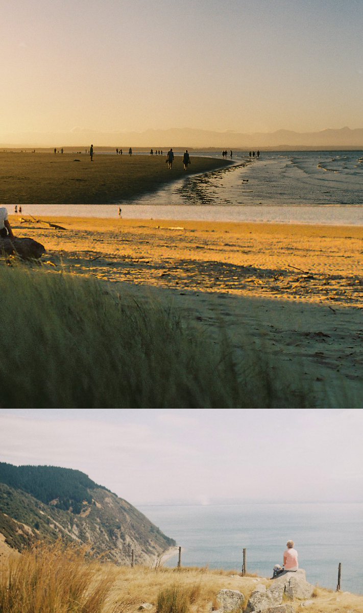 Dean Harvey tweet media