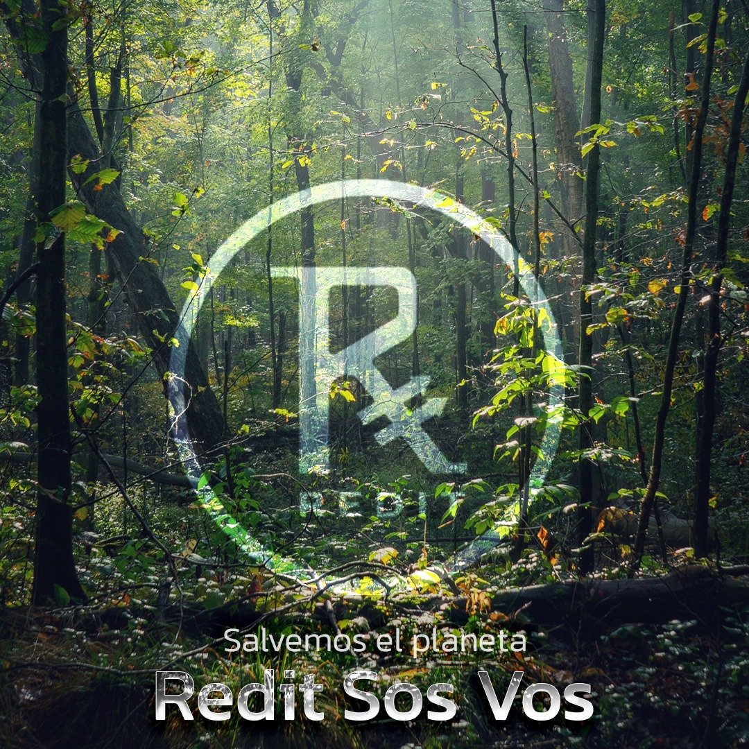CoinRedit's tweet photo. EDIT Coin ha terminado su transformación final, a partir de ahora sus características son las siguientes:
• Es un Token que cumple con el compromiso de Naciones Unidas en lo referente a contaminación ambiental. NET – ZERO COMMITMENT.
• Es un Token que no necesita ser minado. https://t.co/KaPUgQMNt8