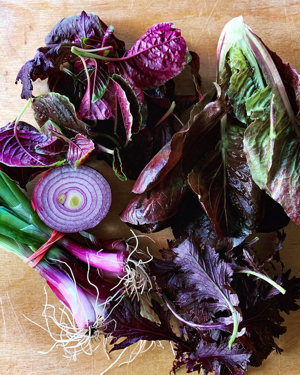 Just a few of nature's purple gifts 💜

#anthocyanins #eattherainbow