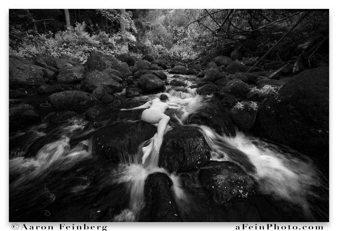 aFeinNude's tweet photo. Title Me (unreleased) ©2022

Making @herstillness_  flow like water. One of the awesome poses she was able to nail.  More to share!

Aloha!
aF
#artnude #fineartnude #nudeinnature #landscapenude  #fineartphotography #afeinphoto  #nudesinnature #artnudeworkshops #artisticnude.  . https://t.co/YgDtDzDASn
