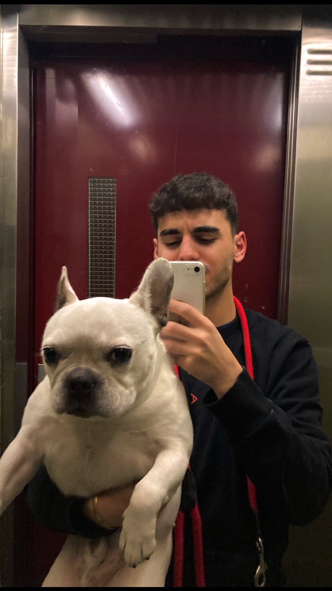 Luis Pérez 🐒 tweet media