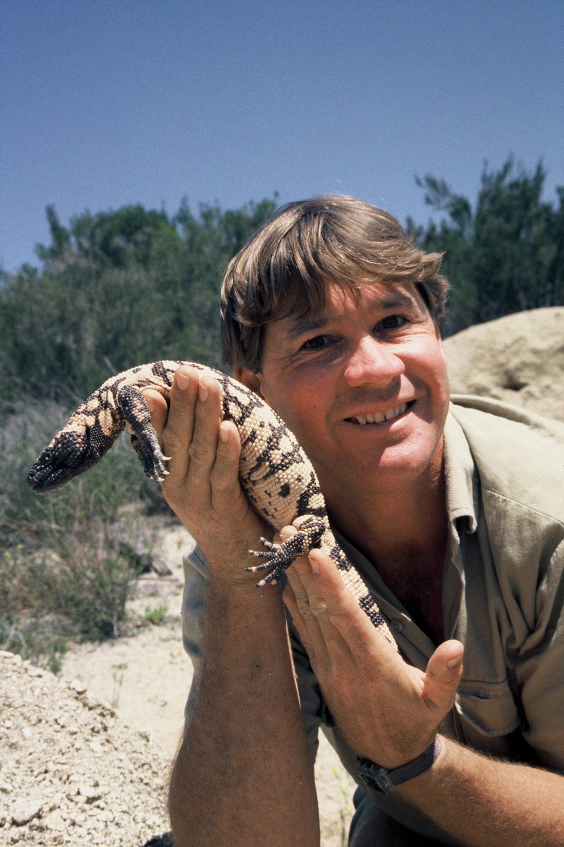 Happy Steve Irwin Day. Today, November 15th, we celebrate the life and legacy of the greatest Wildlife Warrior. A true pioneer of conservation and a loving family man. Break out your best khaki and take a minute to enjoy our beautiful natural world in honour of Steve🤎