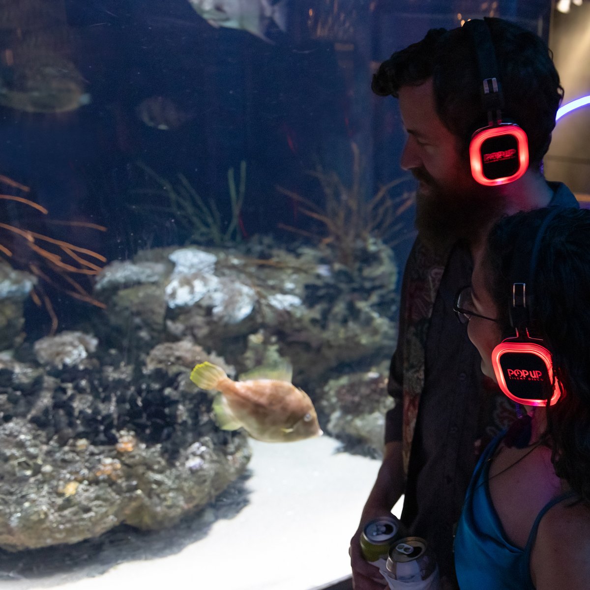 We cannot wait to see you at Voyages: Chapter 2 this Thursday! Still haven’t purchased your ticket? It’s not too late! Visit aqua.org/voyages to reserve your spot and to get a sneak peek at this chapter's musical stylings.