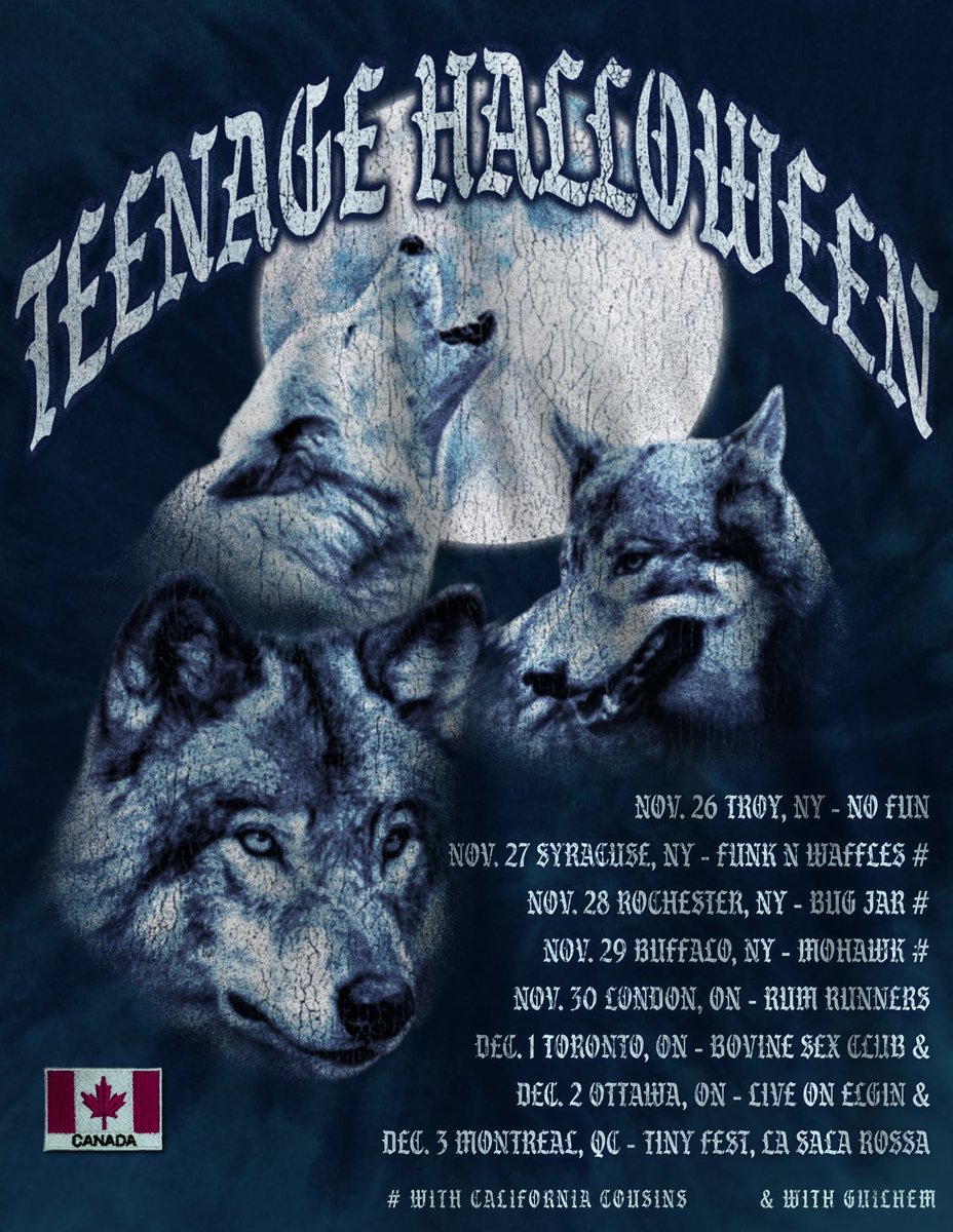 tnghllwnband's tweet image. One last tour for the year! We’re going up to Canada for a fest with some awesome dates on the way up! Tickets on sale now!