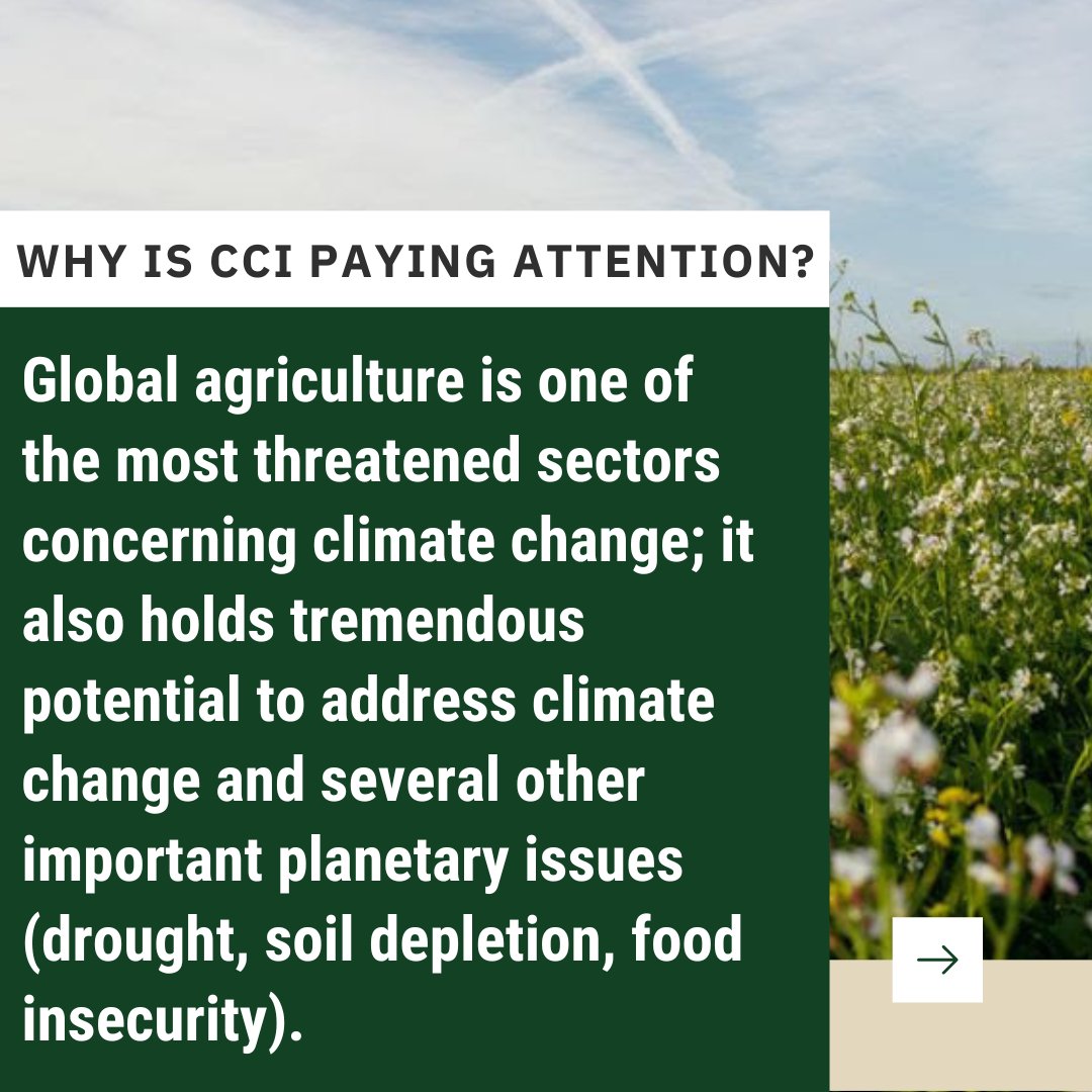Carbon Cycle Institute tweet media