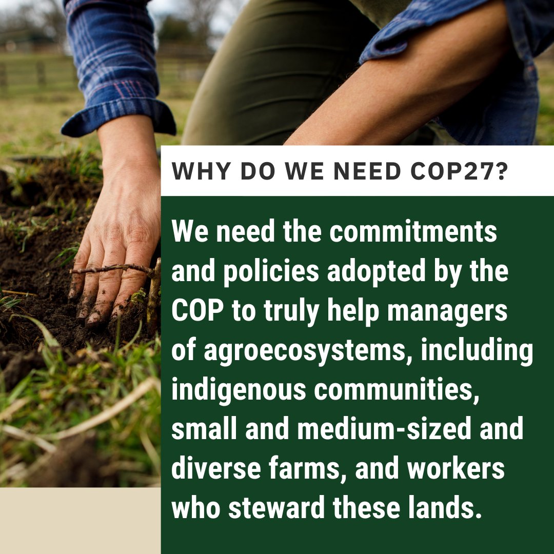 Carbon Cycle Institute tweet media