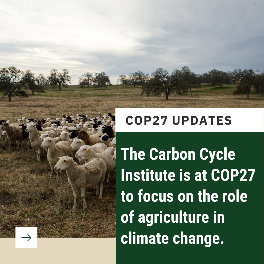 Carbon Cycle Institute tweet media