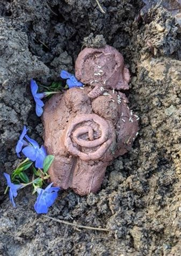 SoilVoices's tweet photo. Found a #soil lady experiment from solstice 2021 <3 #cycleoflife #seeds #motherearth #creationmyths #soilstories #soilvoices #devonred https://t.co/SHRD3CBuVe