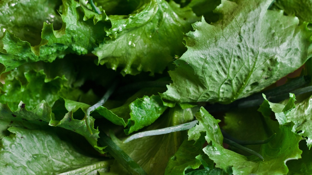 CTVNews's tweet photo. Lettuce prices spike amid shortage, some restaurants pull greens off menus https://t.co/uPOTSFDXJB https://t.co/dOOowXTFjJ
