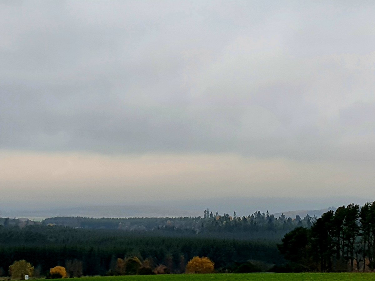 Daily_Bennachie's tweet photo. 08:33
14th November 2022 https://t.co/NRCkMkZjXy